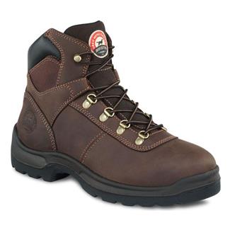 irish setter 83607