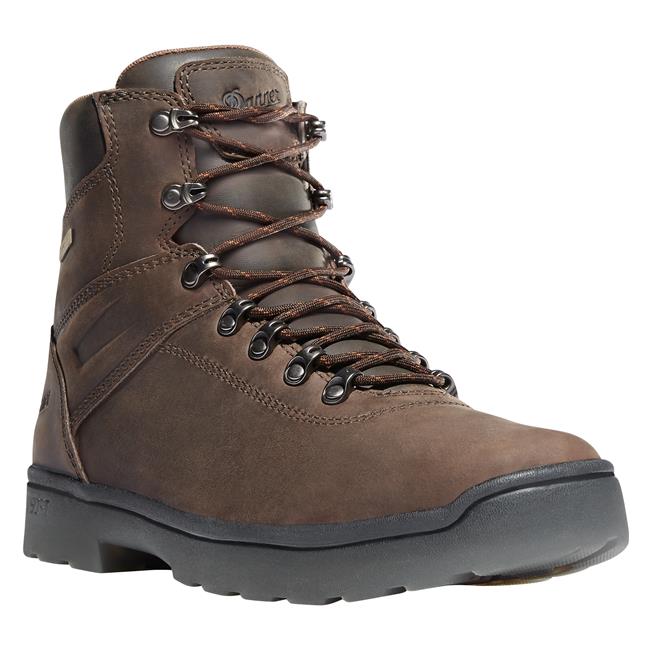 Men's Danner 6