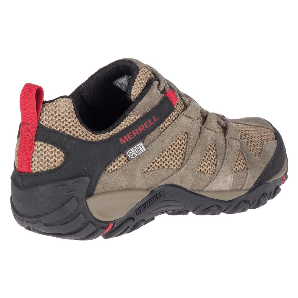 Product Image 5 - Zoom Out