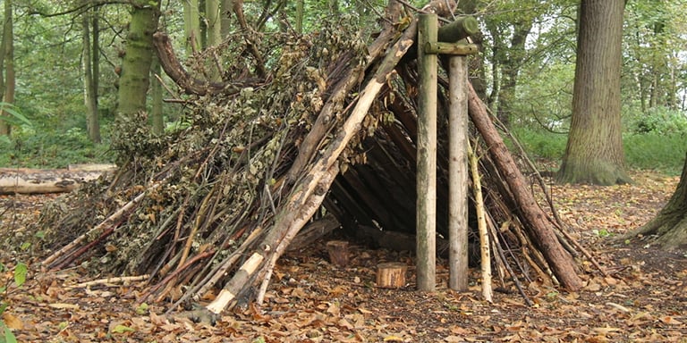 How to Find or Build Basic Shelter