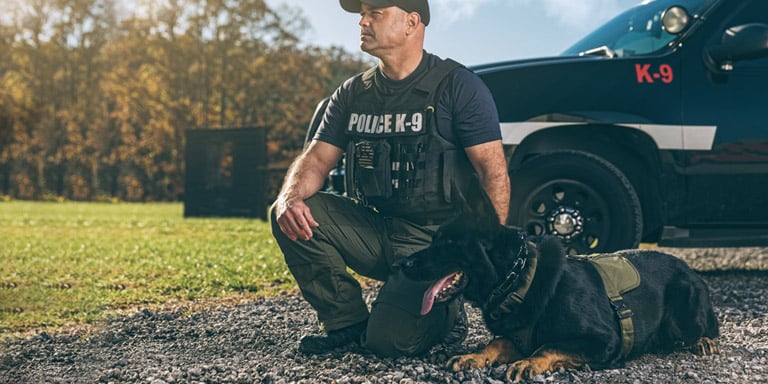 Military and Police K9 Tactical Gear