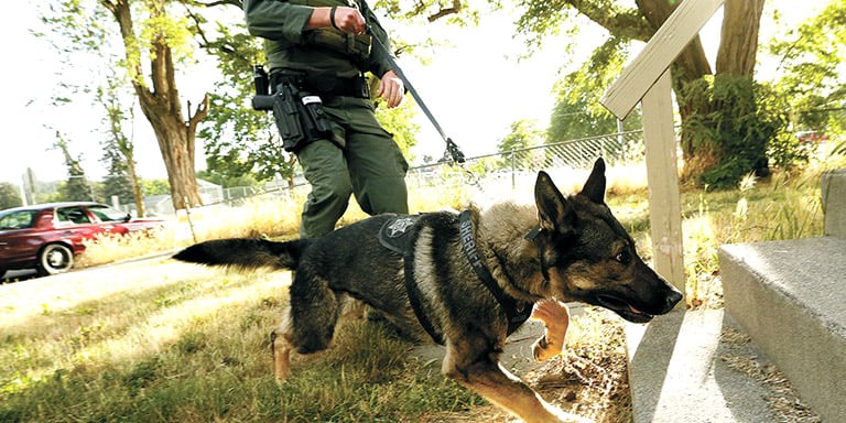 K9 police outlet equipment