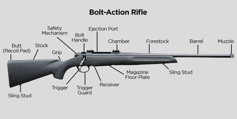 Rifle Basics: Identifying parts and functions