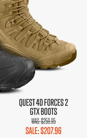 Quest 4D Forces 2 GTX Boots
